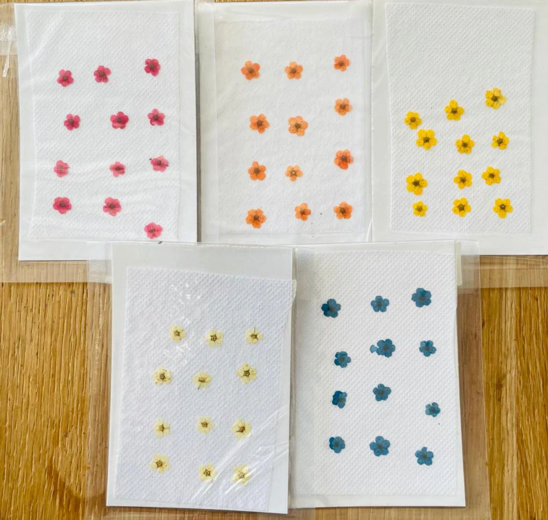 Mini Pressed Flower Sheet (A)